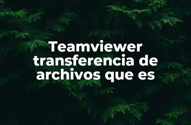 Teamviewer Transferencia de Archivos que es