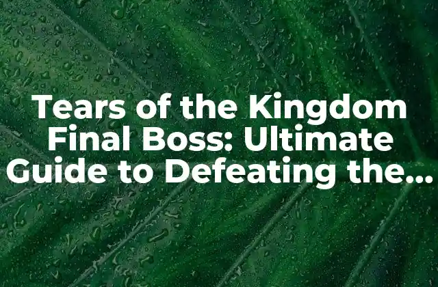 Preparación para la Batalla Final