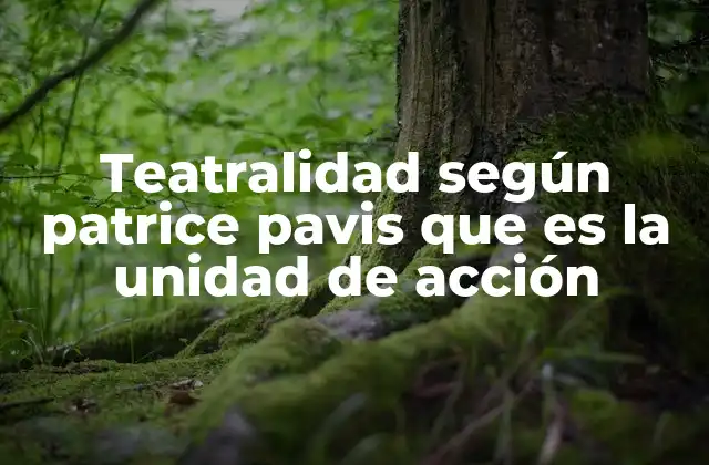 Teatralidad según Patrice Pavis que es la Unidad de Acción