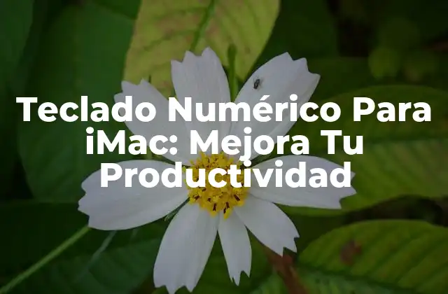 Teclado Numérico para Imac: Mejora Tu Productividad