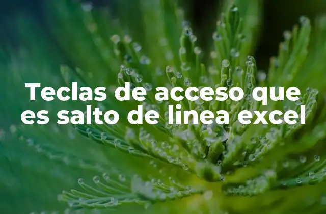 Teclas de Acceso que es Salto de Linea Excel