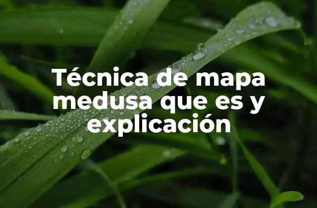 Técnica de Mapa Medusa que es y Explicación