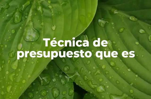 Técnica de Presupuesto que es