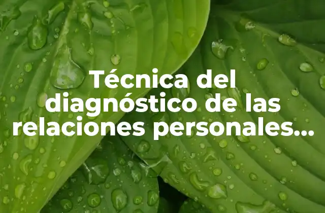 Técnica Del Diagnóstico de las Relaciones Personales que es