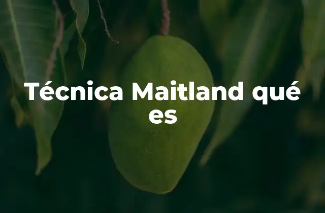 Técnica Maitland Qué es