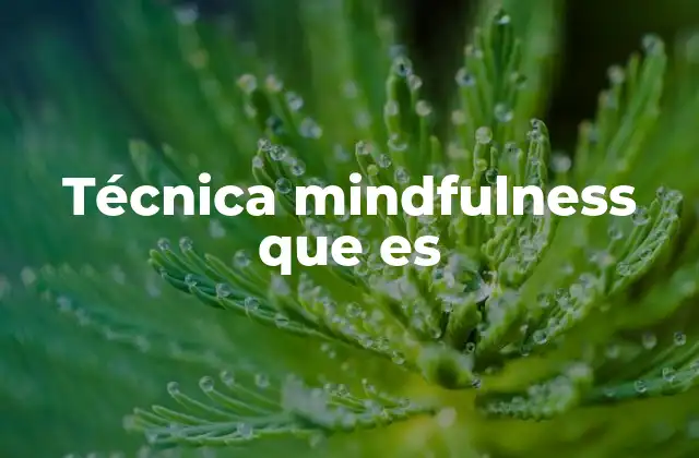 Técnica Mindfulness que es