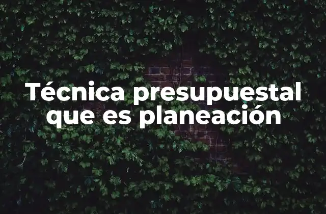 Técnica Presupuestal que es Planeación