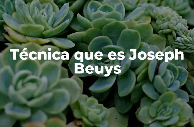Técnica que es Joseph Beuys