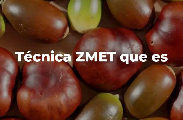 Técnica Zmet que es