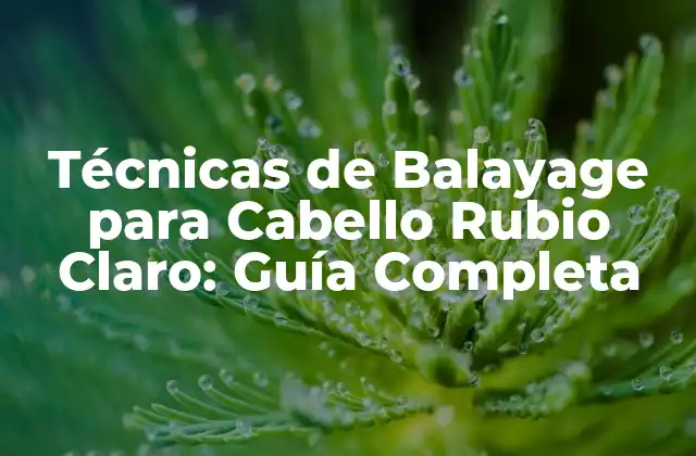 ¿Qué es el Balayage Rubio Claro?