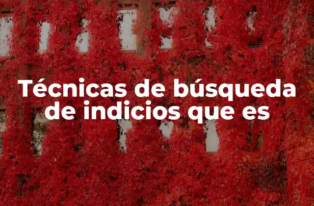 Técnicas de Búsqueda de Indicios que es