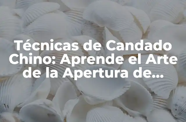 Técnicas de Candado Chino: Aprende el Arte de la Apertura de Cerraduras
