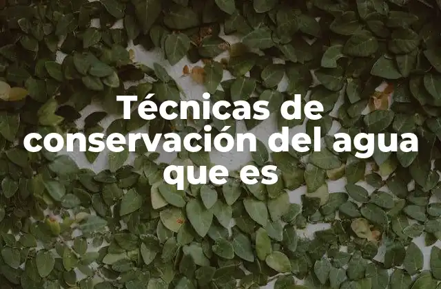 Técnicas de Conservación Del Agua que es