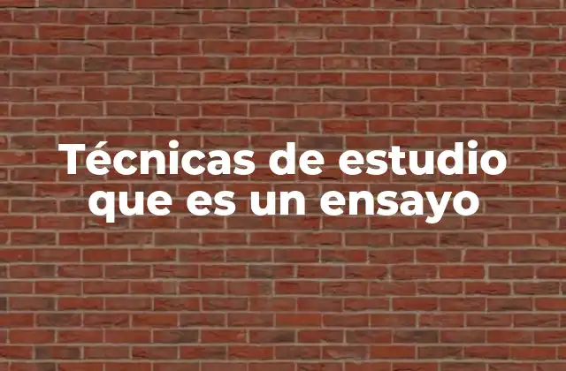 Técnicas de Estudio que es un Ensayo