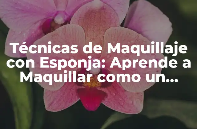 Técnicas de Maquillaje con Esponja: Aprende a Maquillar como un Profesional