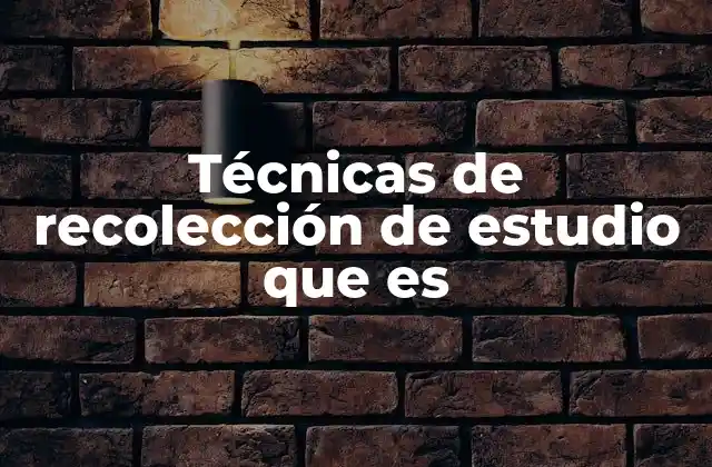 Técnicas de Recolección de Estudio que es