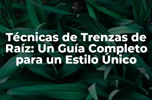 Técnicas de Trenzas de Raíz: un Guía Completo para un Estilo Único