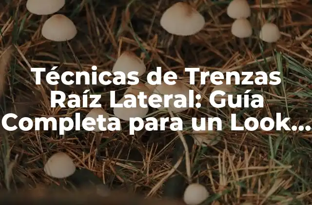 Técnicas de Trenzas Raíz Lateral: Guía Completa para un Look Único