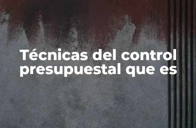 Técnicas Del Control Presupuestal que es