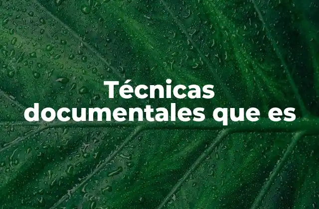 El papel de las técnicas documentales en la gestión de información