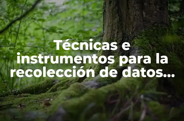 Técnicas e Instrumentos para la Recolección de Datos que es