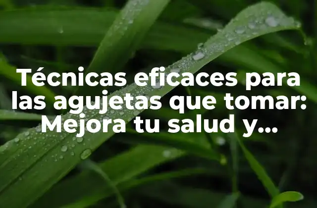 Técnicas Eficaces para las Agujetas que Tomar: Mejora Tu Salud y Bienestar 2 ¿Qué son las agujetas que tomar?