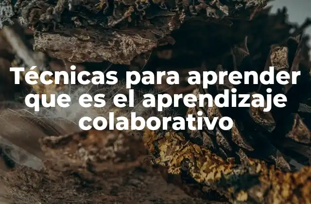 Técnicas para Aprender que es el Aprendizaje Colaborativo