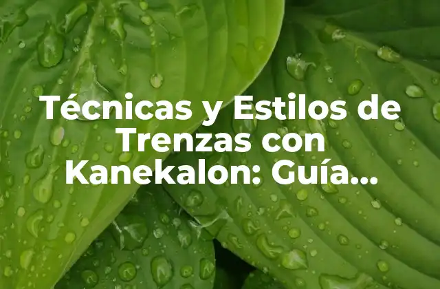 Técnicas y Estilos de Trenzas con Kanekalon: Guía Completa