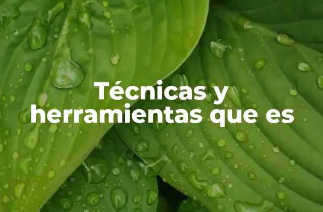 Técnicas y Herramientas que es