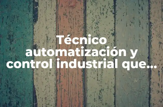 Técnico Automatización y Control Industrial que es
