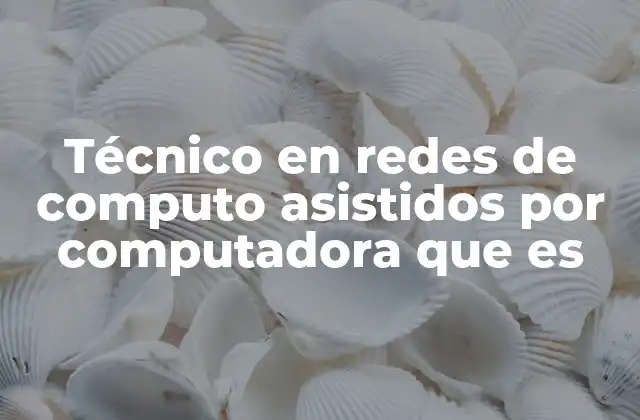 Técnico en Redes de Computo Asistidos por Computadora que es
