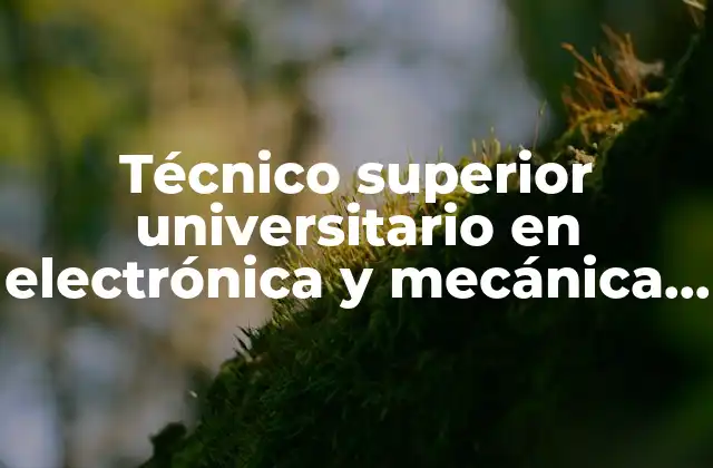 Técnico Superior Universitario en Electrónica y Mecánica Automotriz que es