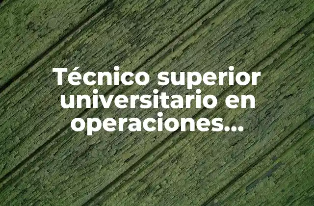 Técnico Superior Universitario en Operaciones Comerciales Internacionales que es