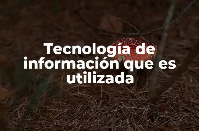 Tecnología de Información que es Utilizada
