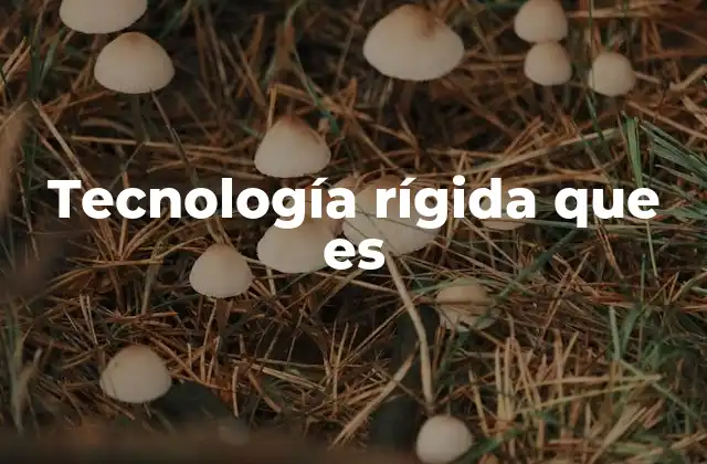 Tecnología Rígida que es 2 Diferencias entre tecnología rígida y flexible