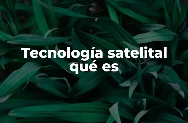 Tecnología Satelital Qué es