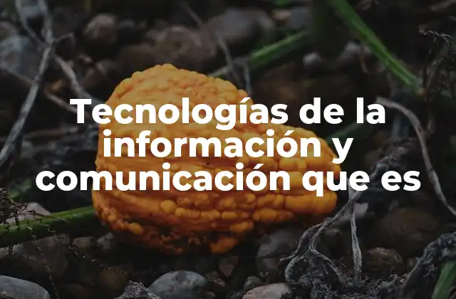 Tecnologías de la Información y Comunicación que es