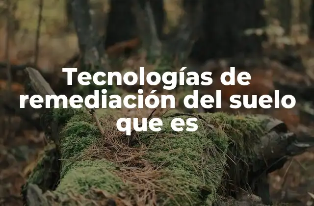 Tecnologías de Remediación Del Suelo que es