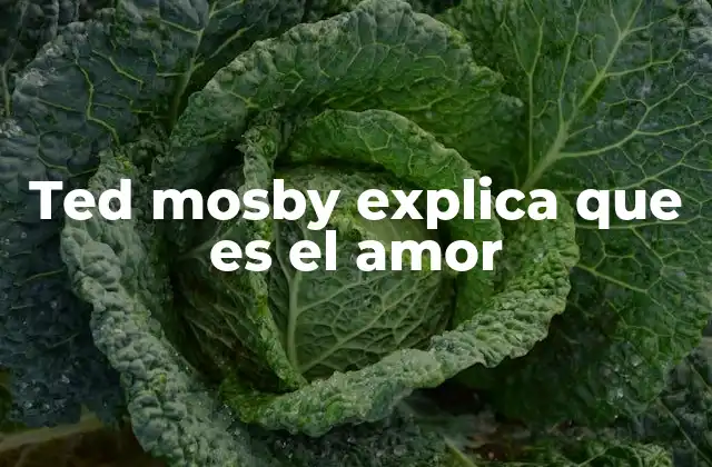 Ted Mosby Explica que es el Amor