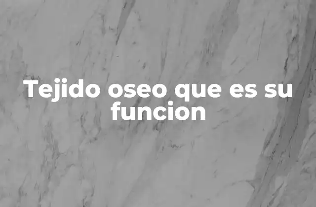 Tejido Oseo que es Su Funcion