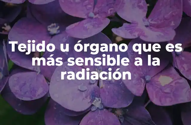 Tejido u Órgano que es Más Sensible a la Radiación
