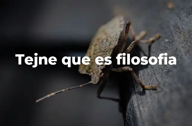 Tejne que es Filosofia