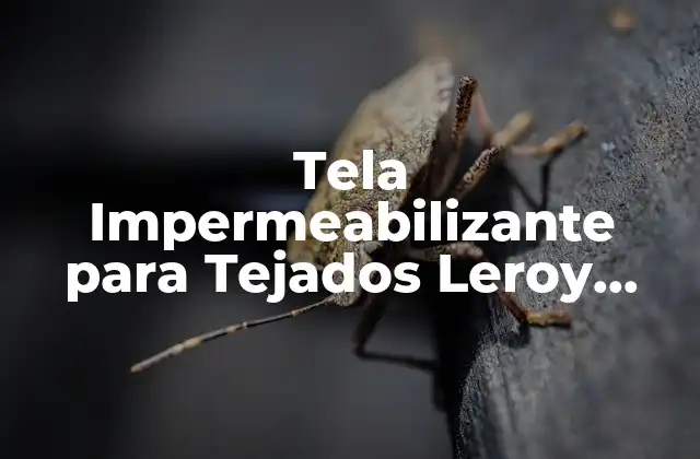 Tela Impermeabilizante para Tejados Leroy Merlin: Soluciones de Alta Calidad