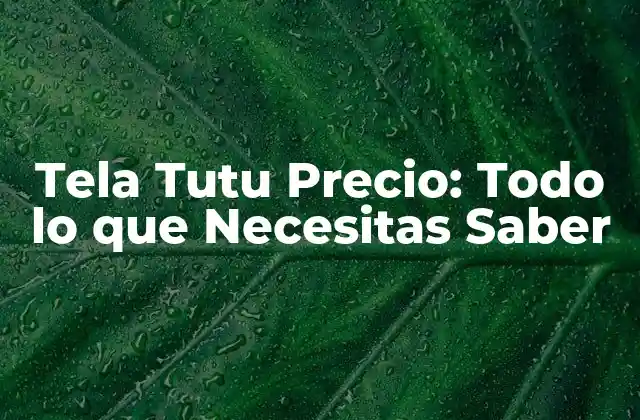 Tela Tutu Precio: Todo Lo que Necesitas Saber