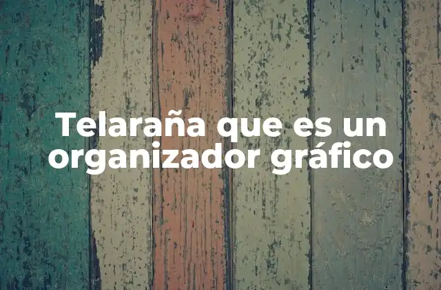 Telaraña que es un Organizador Gráfico