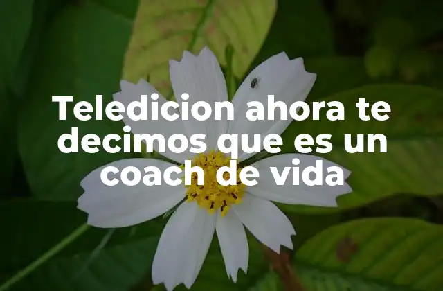 Teledicion Ahora Te Decimos que es un Coach de Vida