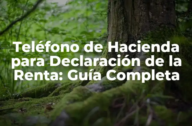 Teléfono de Hacienda para Declaración de la Renta: Guía Completa