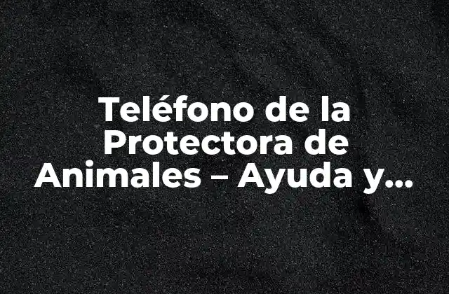 Teléfono de la Protectora de Animales – Ayuda y Apoyo para los Animales en Necesidad