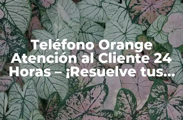 ¿Qué es el Teléfono Orange Atención al Cliente 24 Horas?