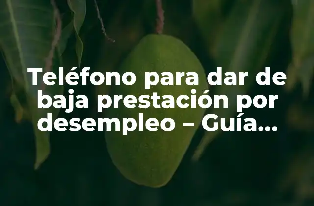 Teléfono para Dar de Baja Prestación por Desempleo – Guía Completa